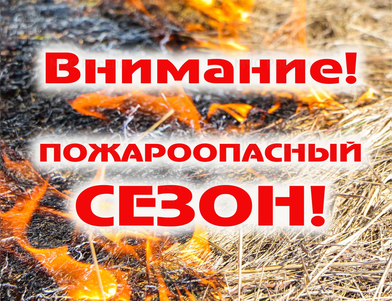 Приморское межрегиональное управление Россельхознадзора напоминает о высокой пожароопасности неиспользуемых земель сельскохозяйственного назначения